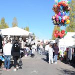 Fiera dei morti 2017 a Pian di Massiano (foto Settonce, riproduzione riservata)