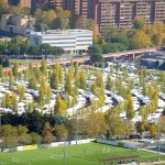 Fiera dei morti 2017 a Pian di Massiano (foto Settonce, riproduzione riservata)