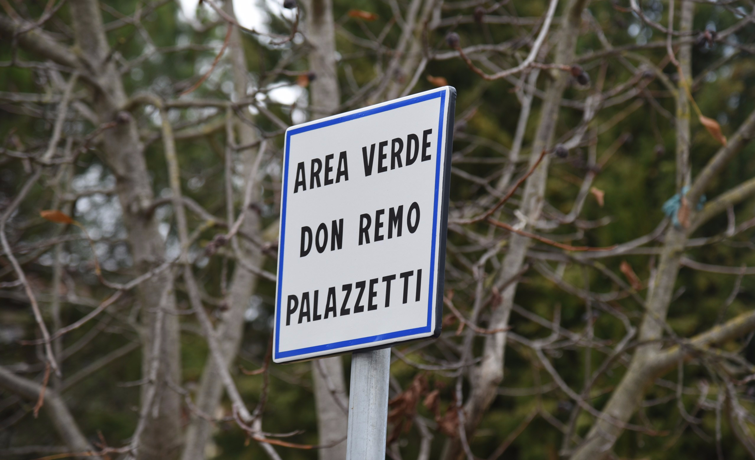 Area verde Don Remo Palazzetti