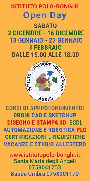 Half page statica Bonghi.jpg