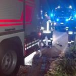 Intervento dei vigili del fuoco per un incidente stradale. Archivio