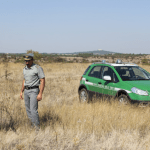Carabinieri forestali al lavoro. Archivio