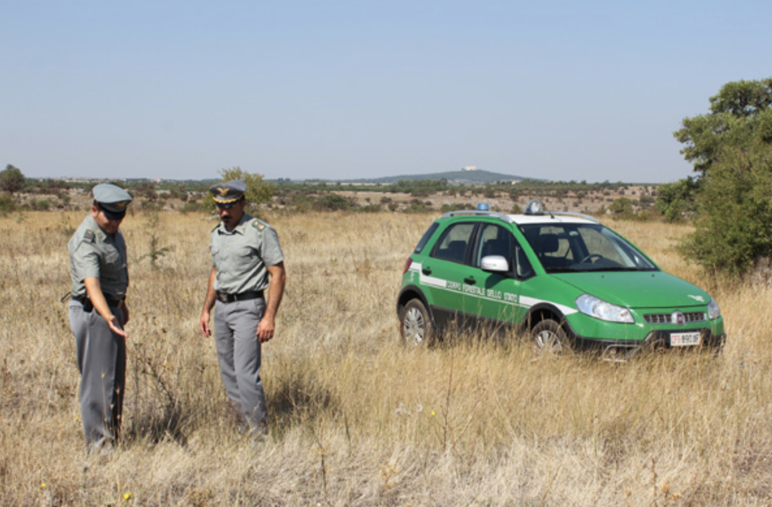 Carabinieri forestali al lavoro. Archivio