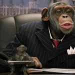 Una scimmia (foto Internet)