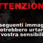 I soccorsi al cavallo investito in via Pievaiola