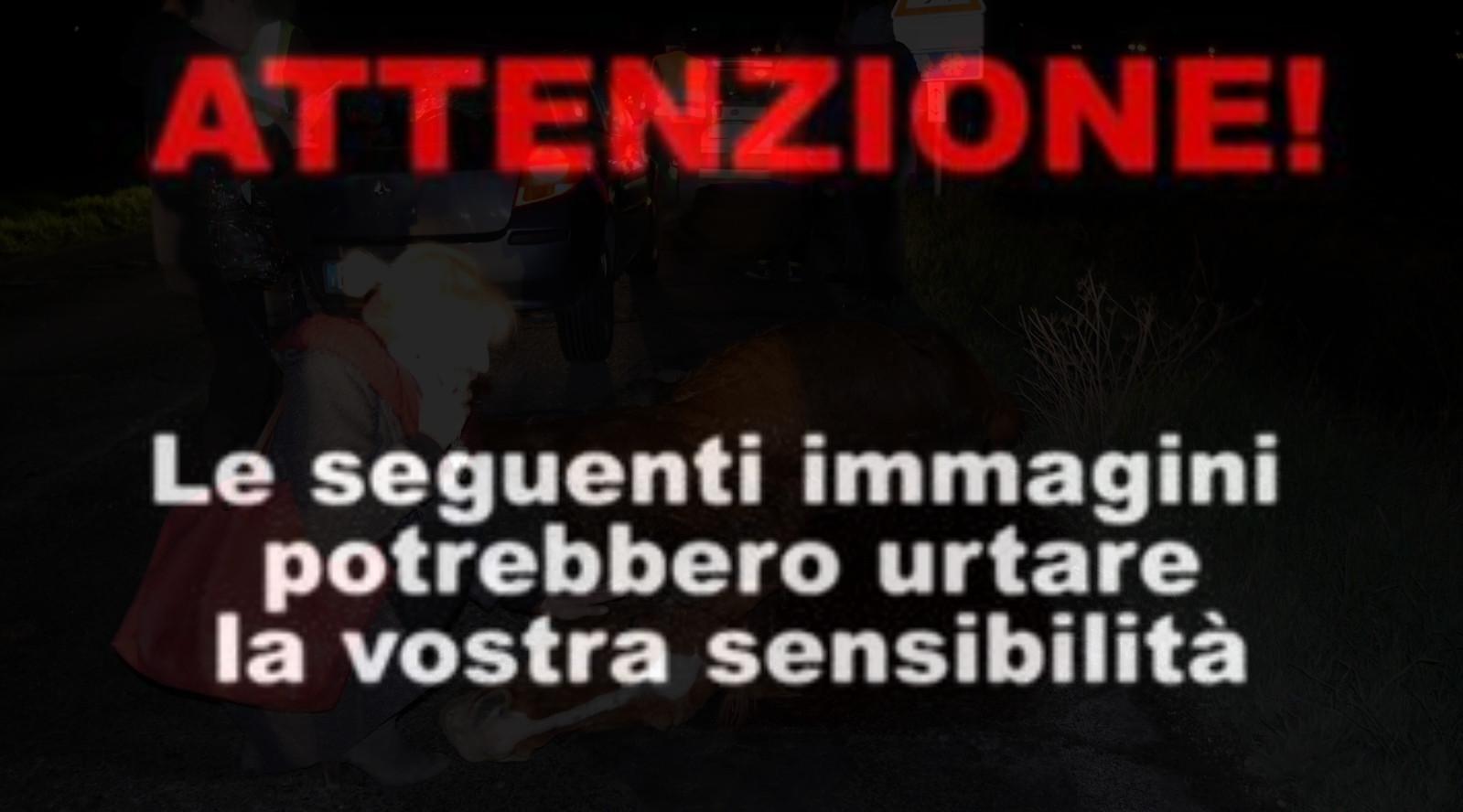 I soccorsi al cavallo investito in via Pievaiola