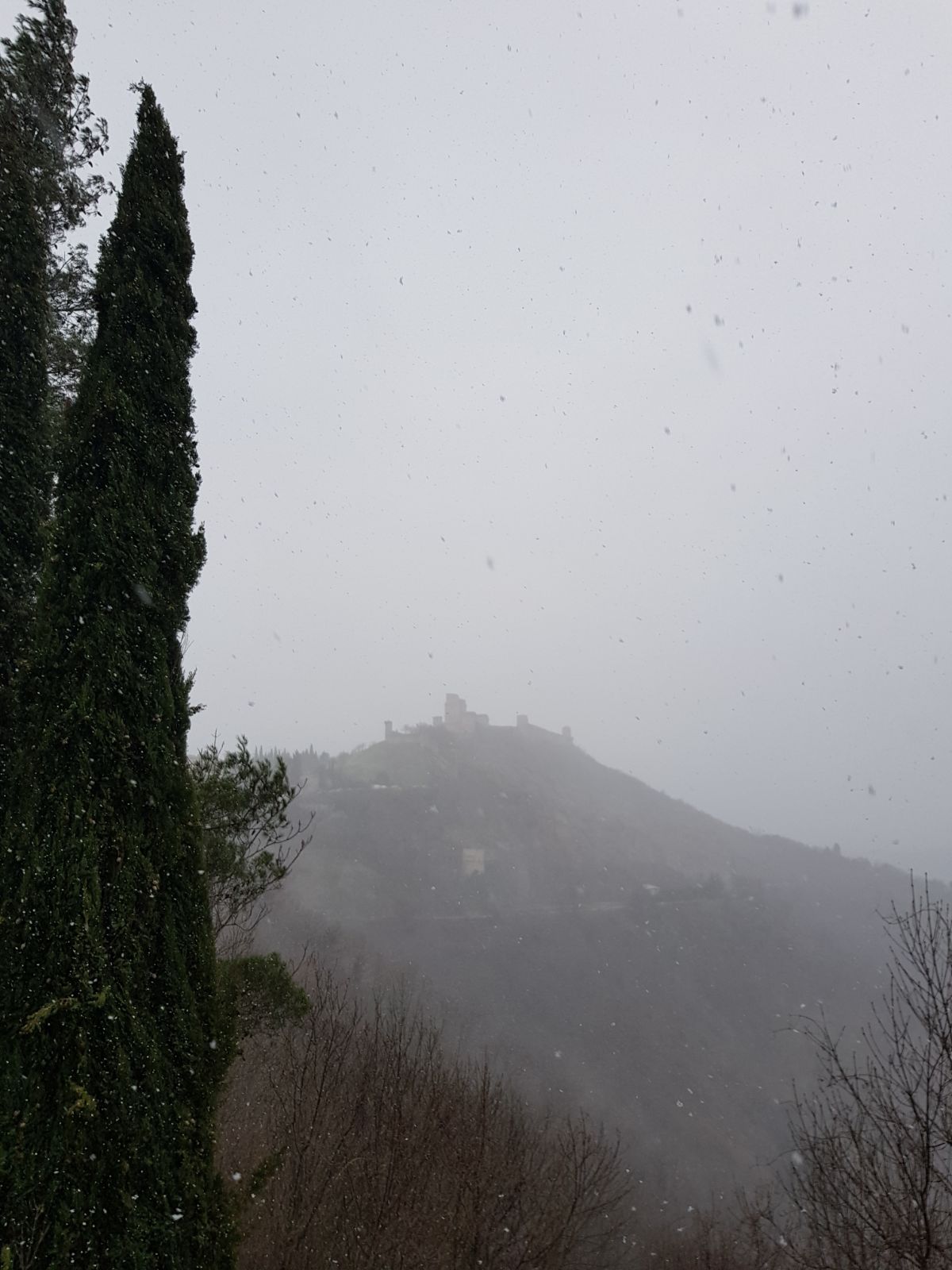 Alessio e Assisi sotto la nevicata