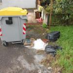 I rifiuti abbandonati in via Pieve di Campo 38 (foto Gino Goti)