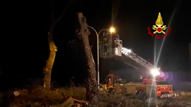 Vigili del fuoco e alberi pericolanti