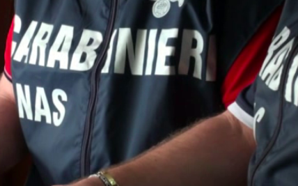 Carabinieri del Nas (foto Ministero della Salute)
