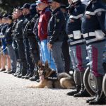 Anniversario della polizia di Stato. Repertorio