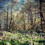 Monte Cucco, Umbria (foto Cesare Fanucci)