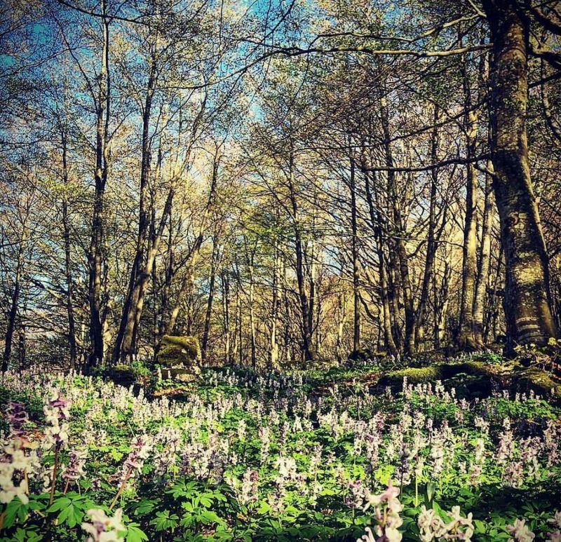 Monte Cucco, Umbria (foto Cesare Fanucci)