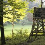 Caccia, appostamento fisso