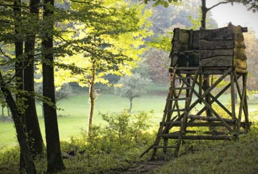 Caccia, appostamento fisso