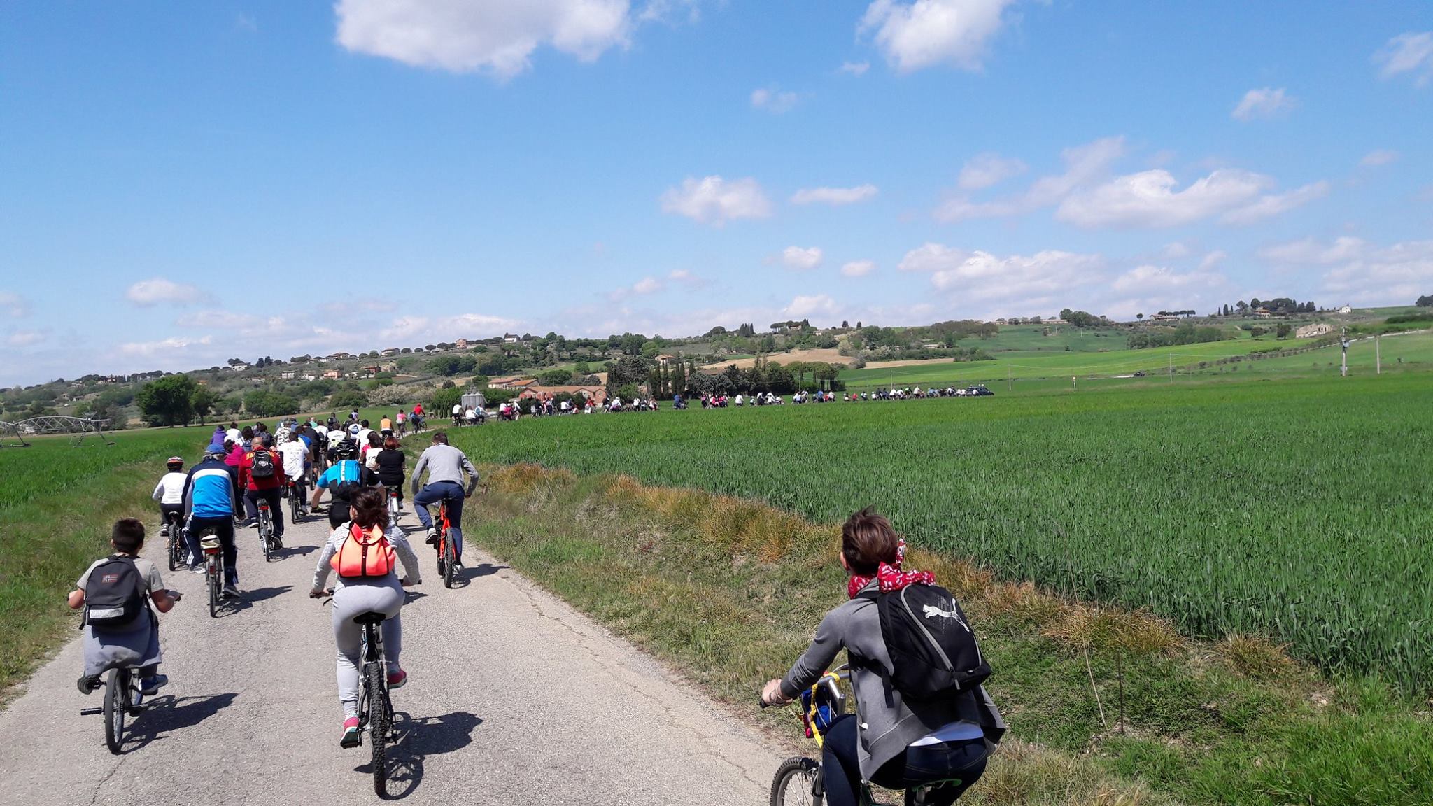 Una passata edizione della Passeggiata ecologica a Torgiano (foto Facebook)