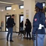 Unità cinofile della polizia. Repertorio