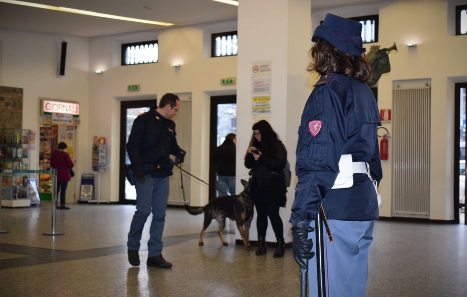 Unità cinofile della polizia. Repertorio