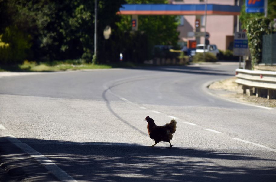Umbria, Perugia, discoverUmbria