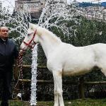 Carfagna e Via Lattea