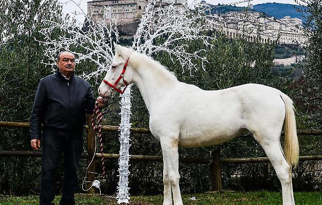 Carfagna e Via Lattea