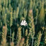 Umbria (foto di Emanuela) - ©RIPRODUZIONE RISERVATA