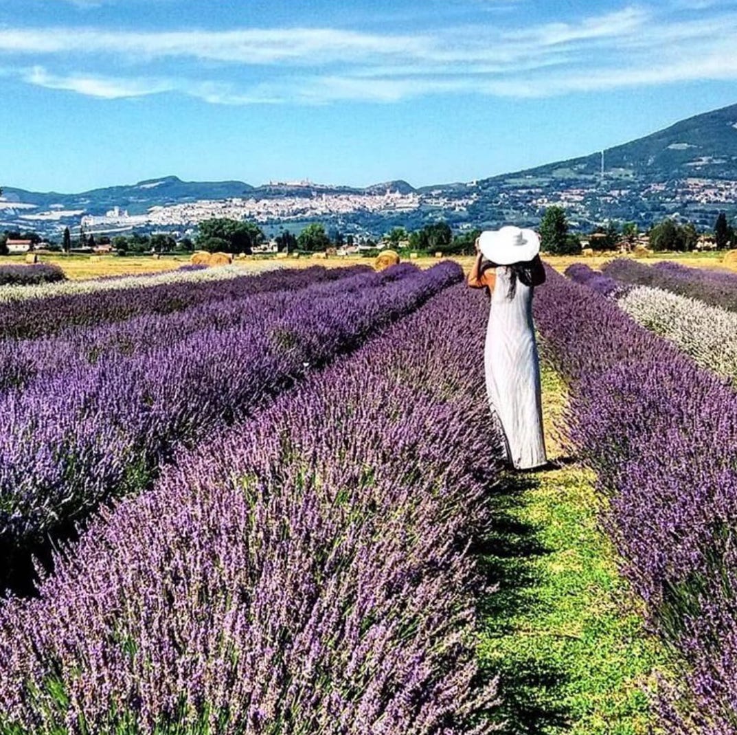 (foto di Mary Jane Antonini, Instagram __mja__maryjane.artist__)