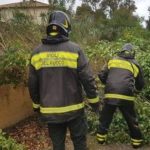 Vigili del fuoco rimuovono piante abbattute dal vento. Repertorio