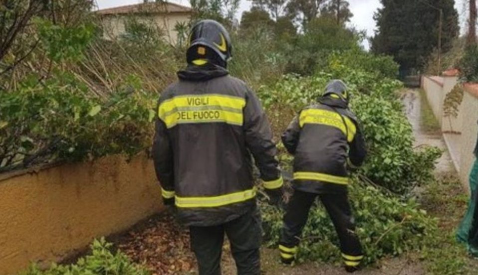 Vigili del fuoco rimuovono piante abbattute dal vento. Repertorio