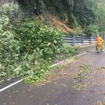Alberi caduti a causa del maltempo, squadre di operai della Provincia di Terni al laAlberi caduti a causa del maltempo, squadre di operai della Provincia di Terni al lavoro per ripristinare la viabilitàvoro per ripristinare la viabilità