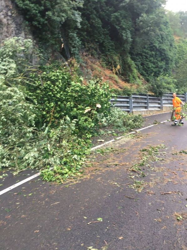 Alberi caduti a causa del maltempo, squadre di operai della Provincia di Terni al laAlberi caduti a causa del maltempo, squadre di operai della Provincia di Terni al lavoro per ripristinare la viabilitàvoro per ripristinare la viabilità