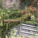 Alberi caduti a causa del maltempo, squadre di operai della Provincia di Terni al lavoro per ripristinare la viabilità