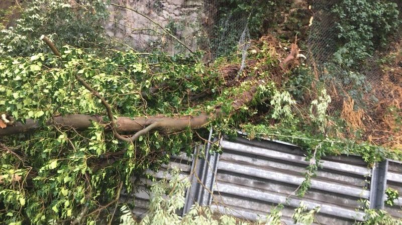 Alberi caduti a causa del maltempo, squadre di operai della Provincia di Terni al lavoro per ripristinare la viabilità