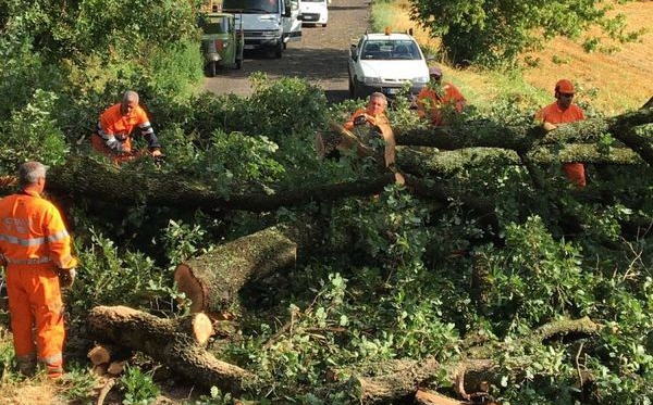 Alberi caduti a causa del maltempo, squadre di operai della Provincia di Terni al lavoro per ripristinare la viabilità