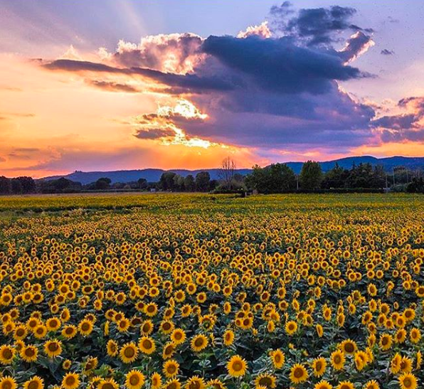 Passignano in uno scatto di Davide Minetti (foto Instagram)