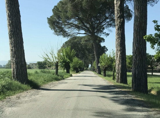 Via Carlo Alberto dalla Chiesa