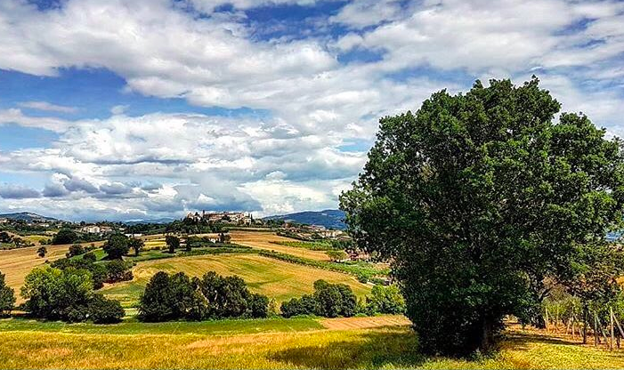 Civitella d'Arna in uno scatto di @ste_bamboocha (foto Instagram)