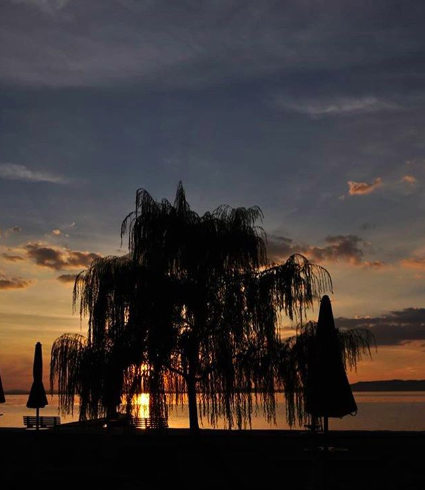 Il Trasimeno in uno scatto di @scortichini_nicoletta_1973 su Instagram