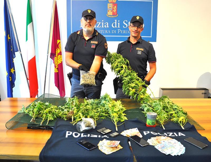 La marijuana a km 0 sequestrata (foto polizia Perugia)