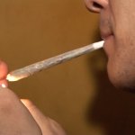 Canna hashish marijuana