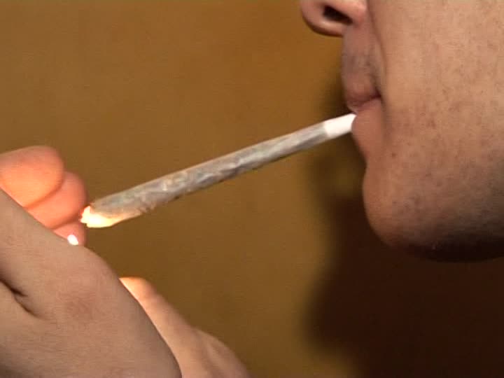Canna hashish marijuana