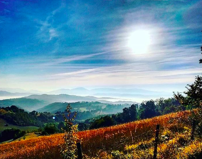 Il sentiero francescano tra Gubbio, Valfabbrica e Assisi in uno scatto di @paolotiro su Instagram
