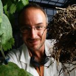 Terni e Narni: al via l'edizione 2018 di Umbria green festival