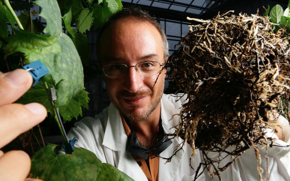 Terni e Narni: al via l'edizione 2018 di Umbria green festival