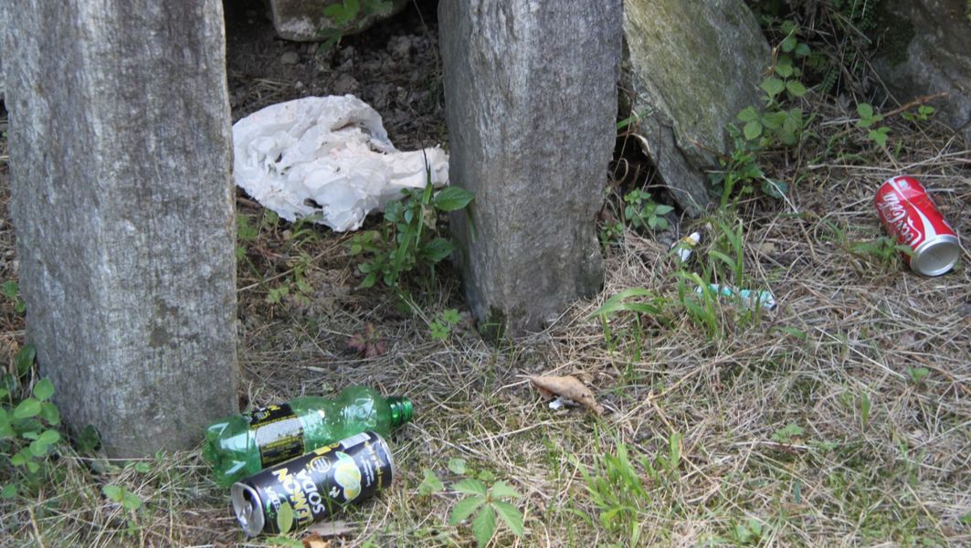 Immondizia su un prato