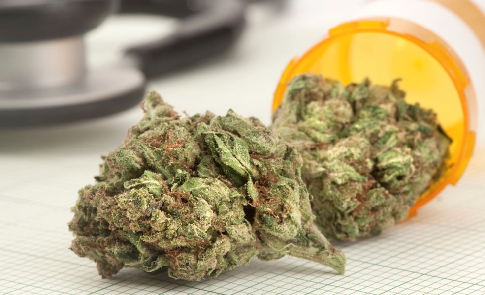 Cannabis terapeutica