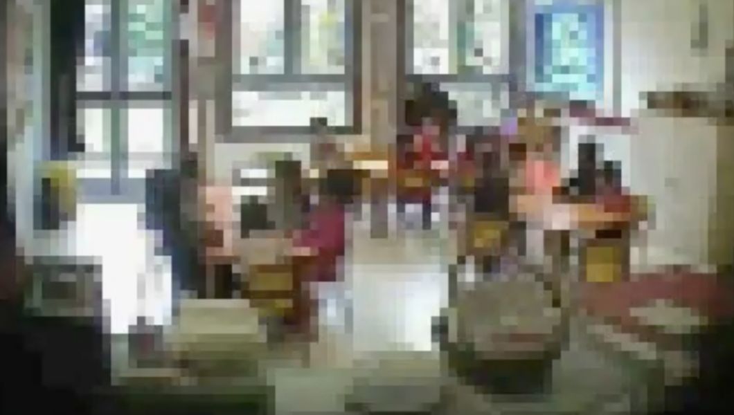 videocamere asilo