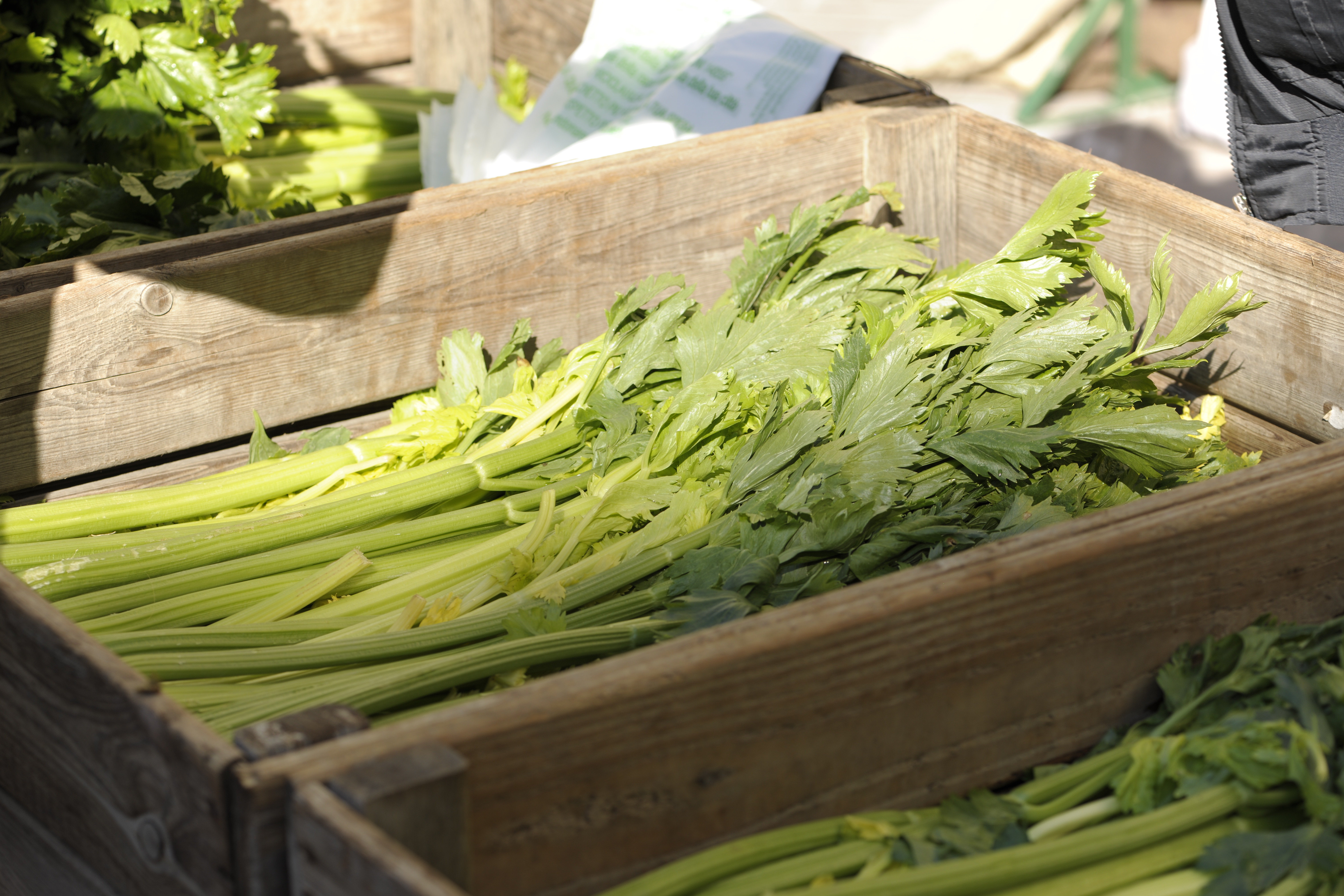 fe0b796e-f803-40c9-8651-13bd2aeb9353