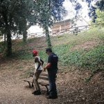 Controlli della polizia nei parchi di Perugia