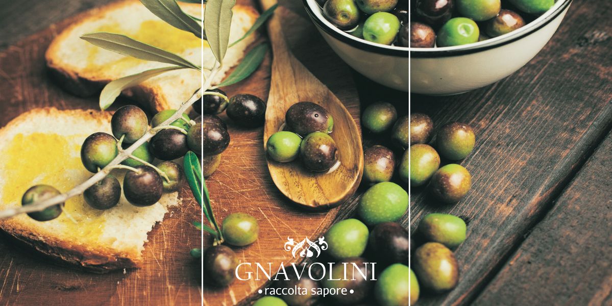 GNAVOLINI
